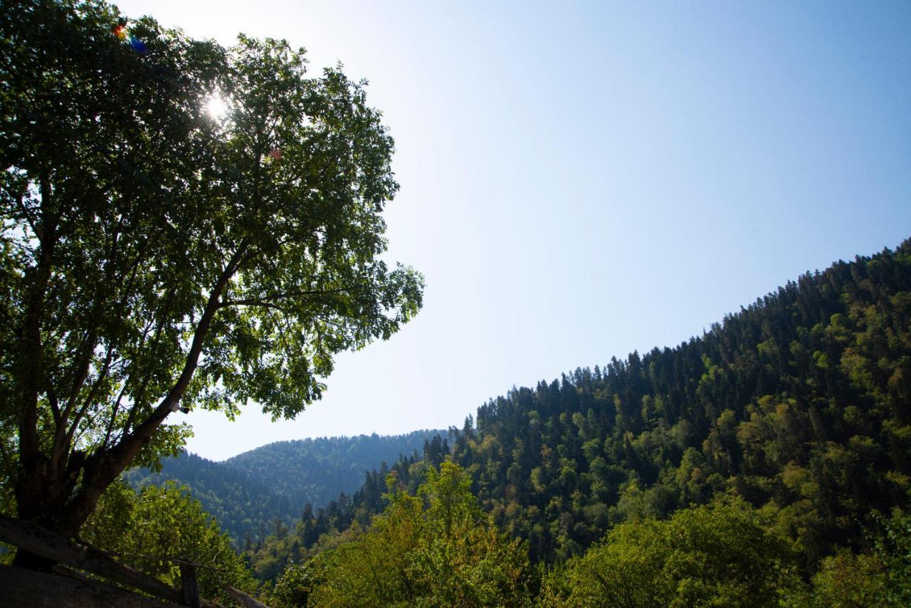 Landhaus Borjomi Exterior foto