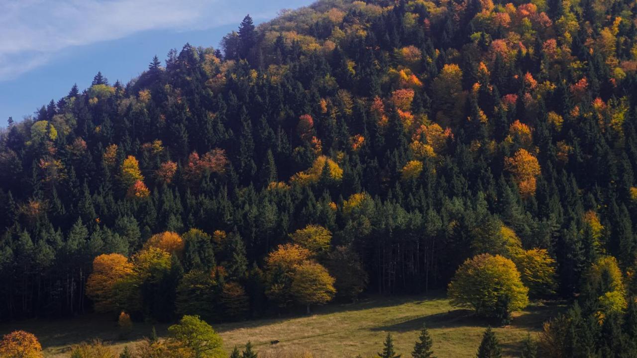 Landhaus Borjomi Exterior foto