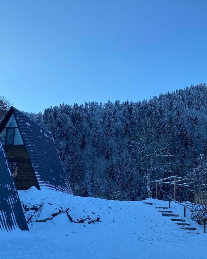 Landhaus Borjomi Exterior foto